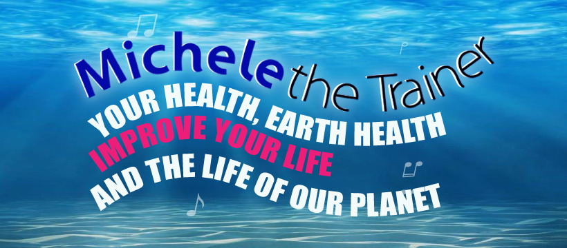 Michele The Trainer Logo