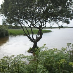 Kenfig National Nature Reserve