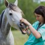 Photo of Wythe County Animal Clinic