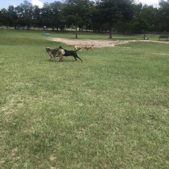 Letty Towles Dog Park - Dog Parks Near Me - Ocala, Florida Letty Towles Dog Park - Dog Parks Near Me - Ocala, Florida