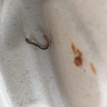 Cafe Cruz - Close up if the metal shard. - Seafood Near Me - Soquel, California