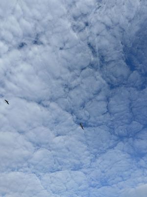 Costco Wholesale by null