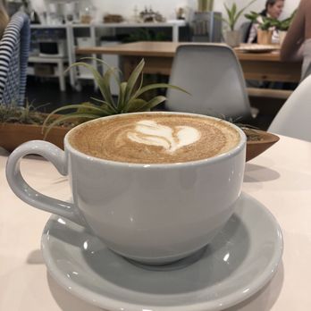 Paloma Coffee Co - Chai latte - Bakeries Near Me - Windermere, Florida Paloma Coffee Co - Chai latte - Bakeries Near Me - Windermere, Florida