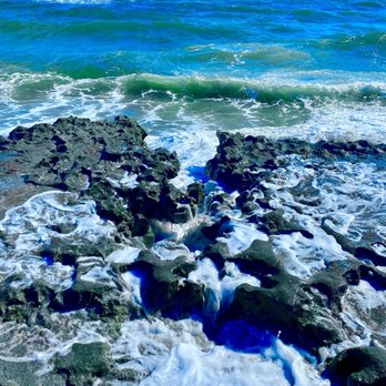Blowing Rocks Preserve - Beaches Near Me - Hobe Sound, Florida