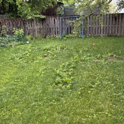 JT & Sons Lawn Care - This is what my yard looks like after 5 yrs of service by JT & Sons lawn Service
