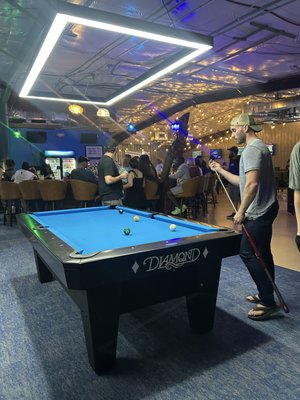 The Pool Turtle by null