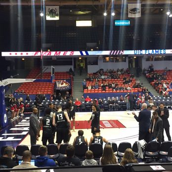 Credit Union 1 Arena - Golden Grizzlies vs. UIC. - Music Venues Near Me - Chicago, Illinois Credit Union 1 Arena - Golden Grizzlies vs. UIC. - Music Venues Near Me - Chicago, Illinois