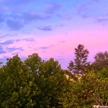 Waugh Drive Bat Colony - Sunset is when the magic happens - Local Flavor Near Me - Houston, Texas Waugh Drive Bat Colony - Sunset is when the magic happens - Local Flavor Near Me - Houston, Texas