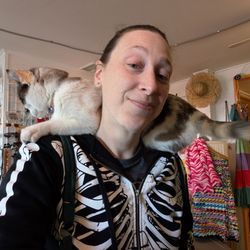 Glam Factory Vintage - The shop cat