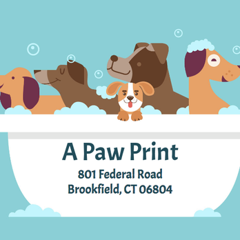 A Paw Print - Pet Groomers Near Me - Brookfield, Connecticut A Paw Print - Pet Groomers Near Me - Brookfield, Connecticut