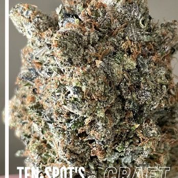 CAFE Dispensary - Strictly Craft AAAA+ by far the best delivery I've experienced in Toronto, text them for latest menu - Cannabis Dispensaries Near Me - Toronto, Ontario CAFE Dispensary - Strictly Craft AAAA+ by far the best delivery I've experienced in Toronto, text them for latest menu - Cannabis Dispensaries Near Me - Toronto, Ontario