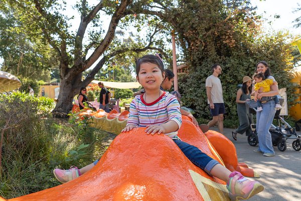Children's Fairyland by null