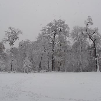 Bois de Vincennes - magnifique sous la neige non? - Parks Near Me - Paris, 75 Bois de Vincennes - magnifique sous la neige non? - Parks Near Me - Paris, 75