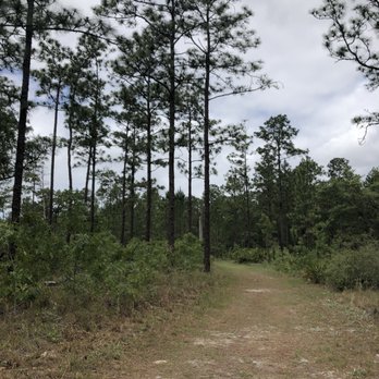 Julington-Durbin Preserve - Hiking Near Me - Jacksonville, Florida Julington-Durbin Preserve - Hiking Near Me - Jacksonville, Florida