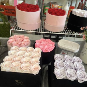 Self Care Holistic - Forever Roses - Spiritual Shop Near Me - Elsmere, Delaware