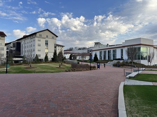 Emory University by null