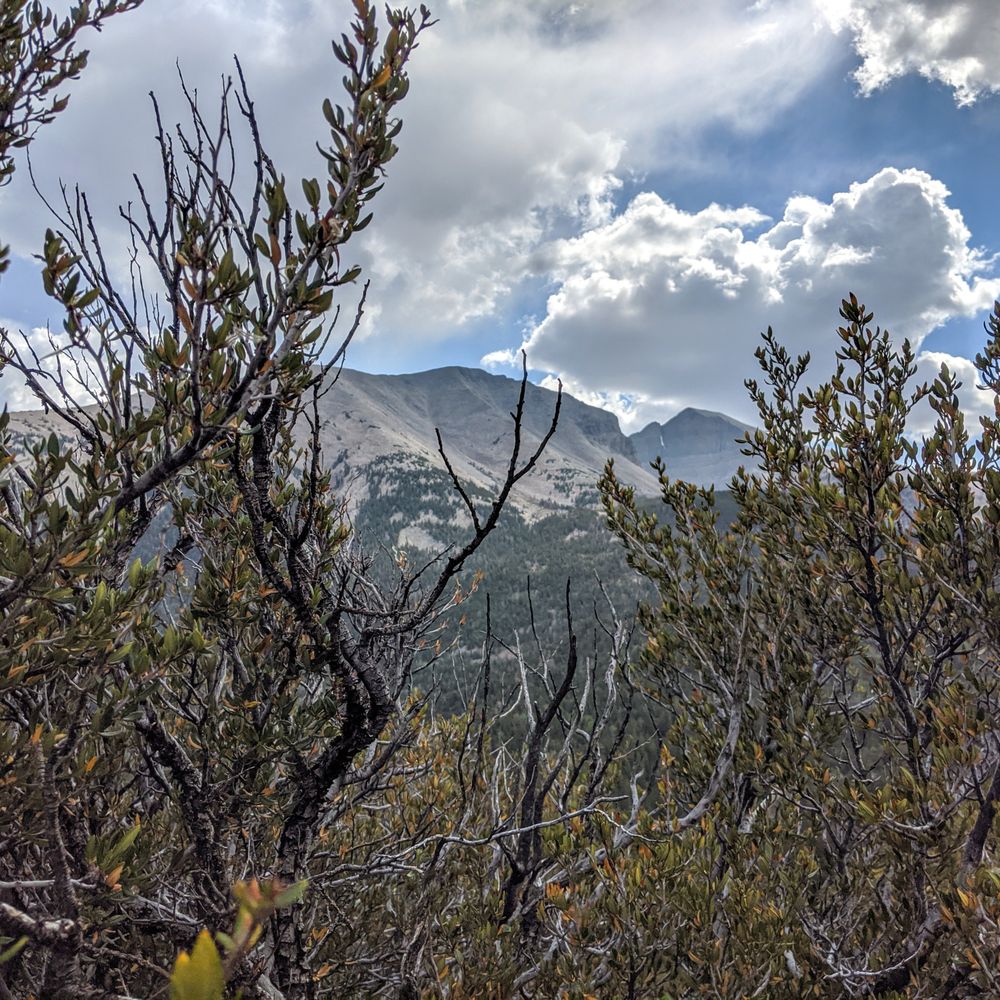 Great Basin National Park - Parks Near Me - Baker, Nevada
