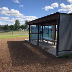 Moscow Off Leash Dog Park