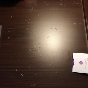 Royal Regency Hotel - it was just disgusting! - Hotels Near Me - Yonkers, New York