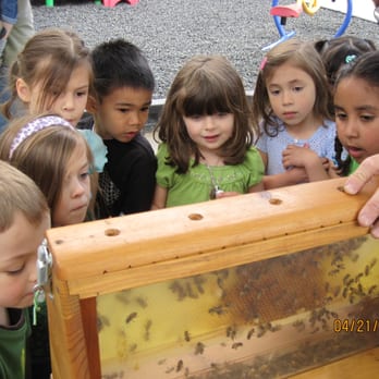 Kidz Planet - Learning About Our World - Preschools Near Me - Pleasant Hill, California Kidz Planet - Learning About Our World - Preschools Near Me - Pleasant Hill, California