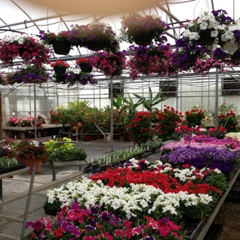 Neitzerts Greenhouse - Florists Near Me - Coldwater, Michigan Neitzerts Greenhouse - Florists Near Me - Coldwater, Michigan