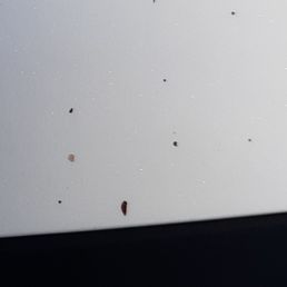 After 2nd wash still bug residue