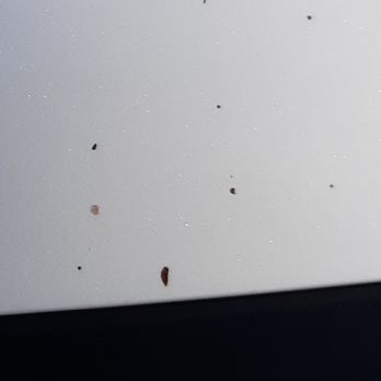 Splash Express Car Wash - After 2nd wash still bug residue - Car Wash Near Me - Cotati, California