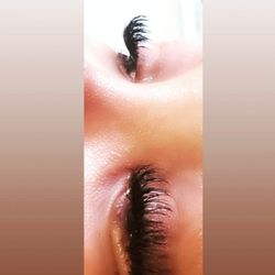 Lyt Lashes