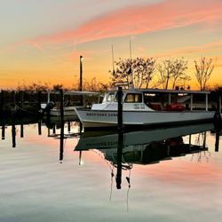 Vinces Crab House & Restaurant