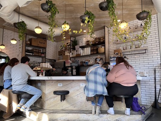 Tribal All Day Cafe by null