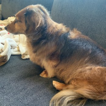 My Pookie's Spaw - Pet Groomers Near Me - Orange, California