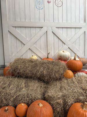 Tinys Milk & Cookies - Austin by null