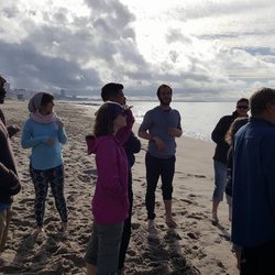 Well-Being With Matt - Looking at the ocean during Mindful Walk at the Beach at Will Rogers State Beach.