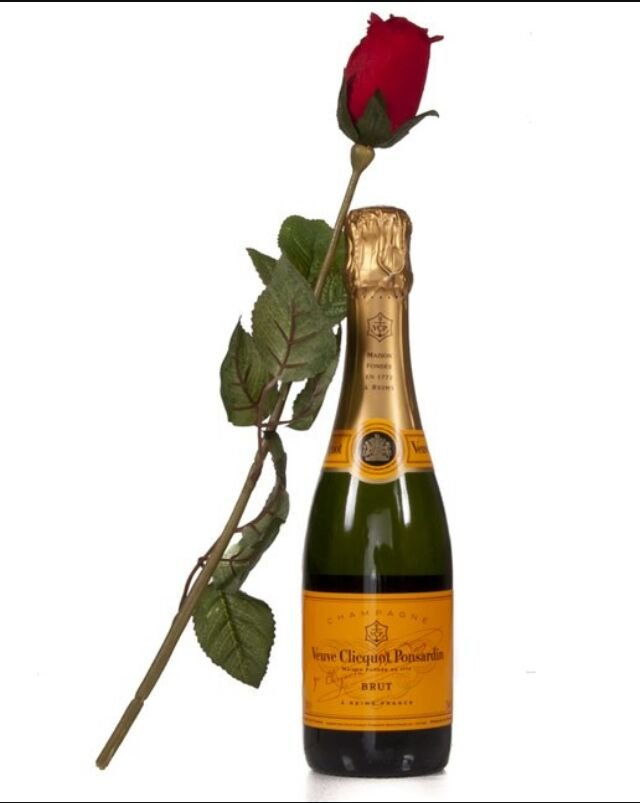 MOHAN’S GLEN DEW Updated April 2024 32 Photos & 14 Reviews 689