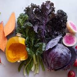 Heather Krebsbach - Nutrition and Lifestyle Medicine