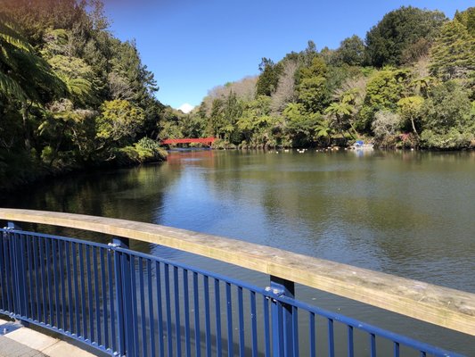 Pukekura Park by null