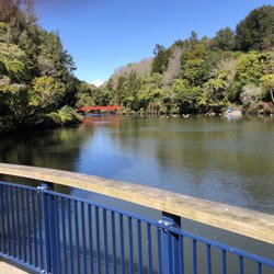 Pukekura Park - Mt Taranaki in background