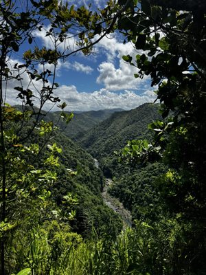Cañón San Cristóbal by null