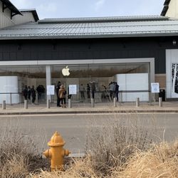 Apple Aspen Grove