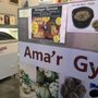 Photo of Amager Gyouza
