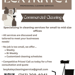 Lexykatey Professional Cleaning Service  - LexyKatey Professional Cleaning Service Flyer