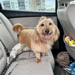Treats Unleashed - Trip's new cut