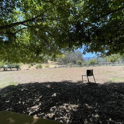 Red Hill Dog Park - Shady Area's