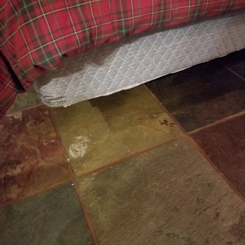 The Idyllwild Bunkhouse - Paint all over on the floor and exposed box spring. - Hotels Near Me - Idyllwild, California