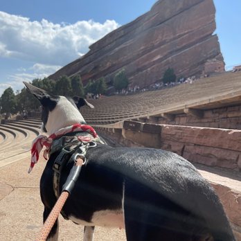 Red Rocks Amphitheatre - Music Venues Near Me - Morrison, Colorado