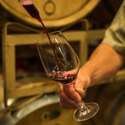 E16 Winery - From barrel to glass!