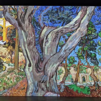 Immersive Van Gogh Exhibit Denver - Art Museums Near Me - Denver, Colorado
