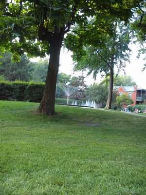 Parc Westmount by null