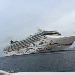 Your Dream Escapes