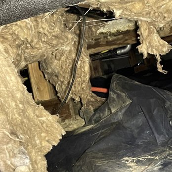 The Plumbing Joint - Damaged new insulation in crawl space - Plumbing Near Me - Renton, Washington The Plumbing Joint - Damaged new insulation in crawl space - Plumbing Near Me - Renton, Washington